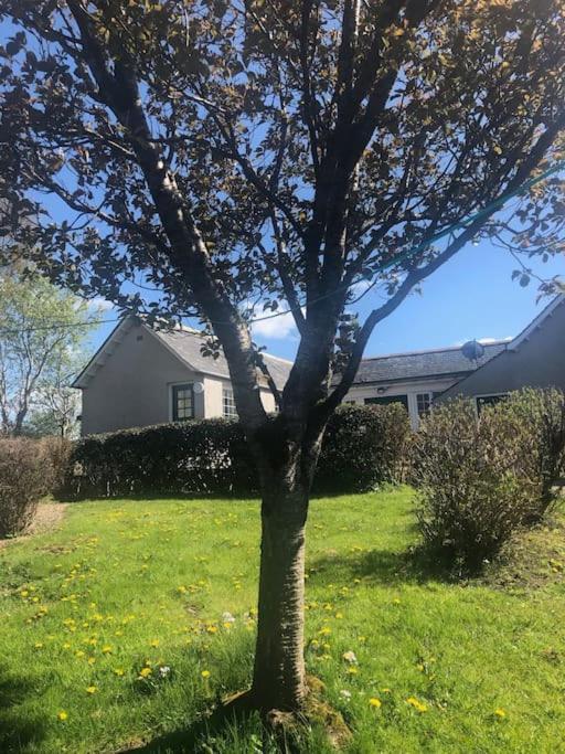 West Lodge 3 Bedrooms, Near Golf Course And River Turriff Esterno foto